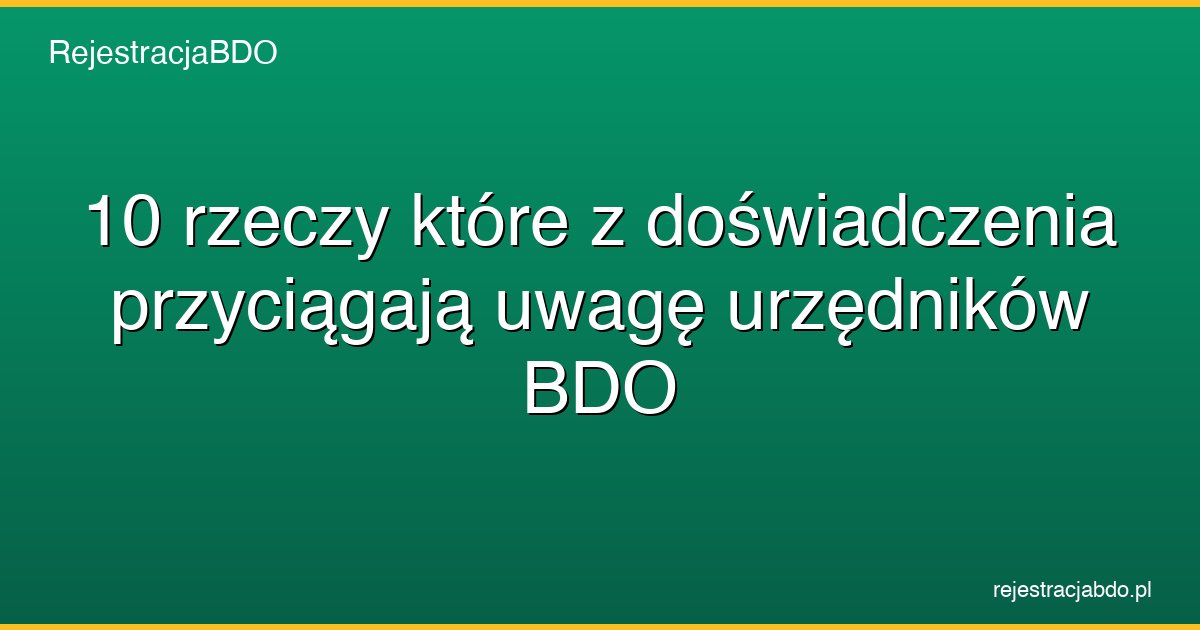 10 rzeczy ktore z doswiadczenia przyciagaja uwage urzednikow bdo featured