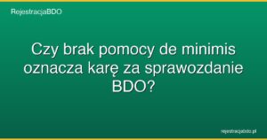czy brak pomocy de minimis oznacza kare za sprawozdanie bdo featured