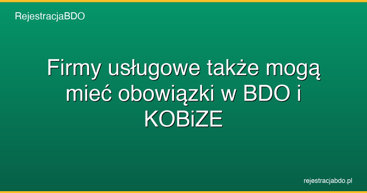 firmy uslugowe bdo kobize obowiazki featured