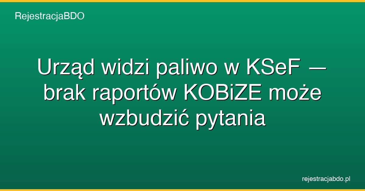 ksef paliwo raport kobize kontrola featured