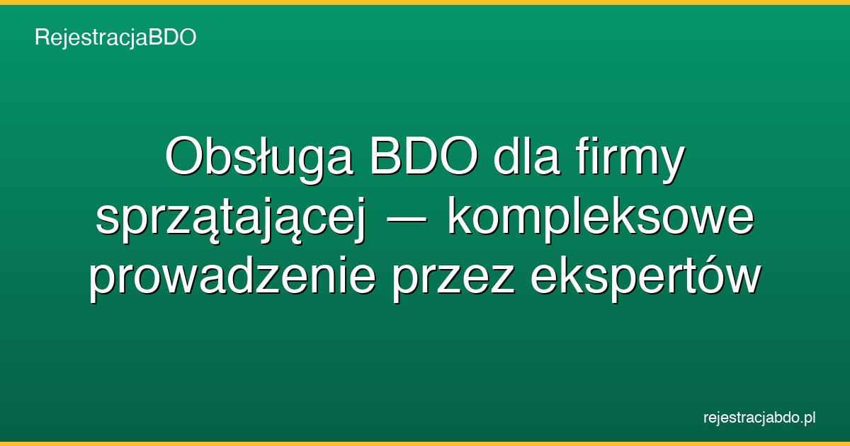 obsluga bdo firma sprzatajaaca featured