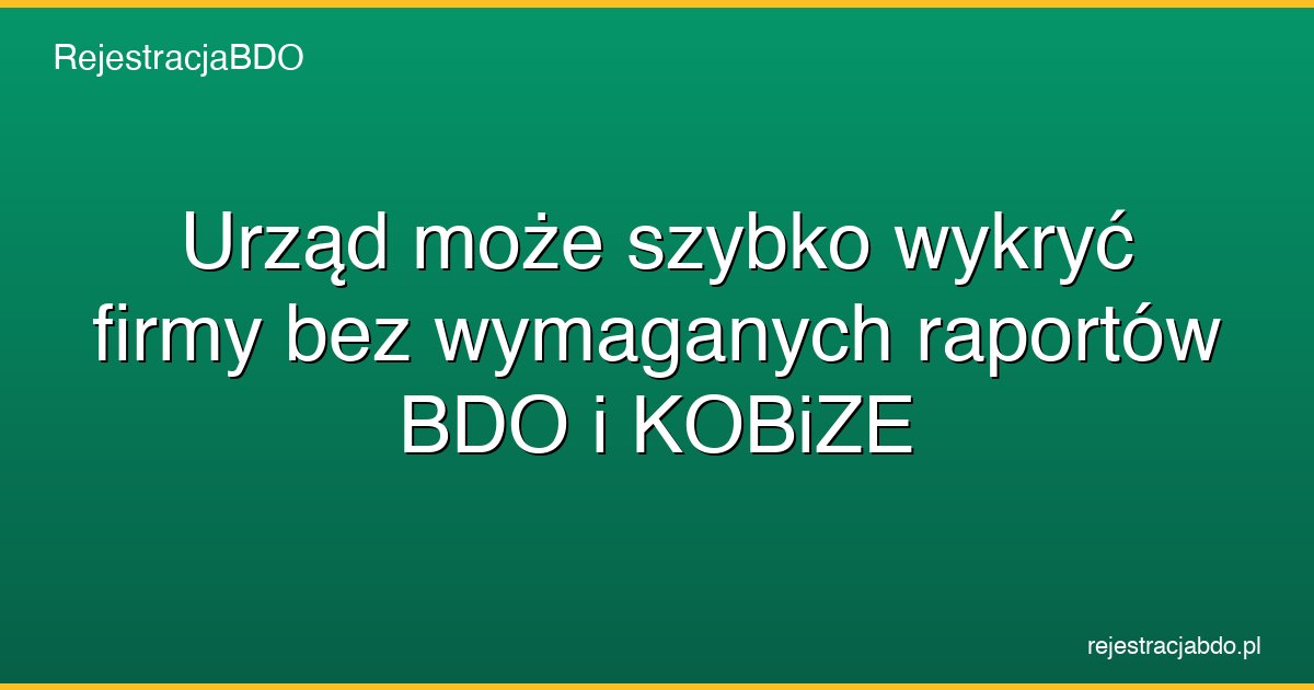 raport bdo kobize wykrycie urzad featured