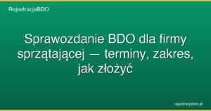 sprawozdanie bdo firma sprzatajaaca featured
