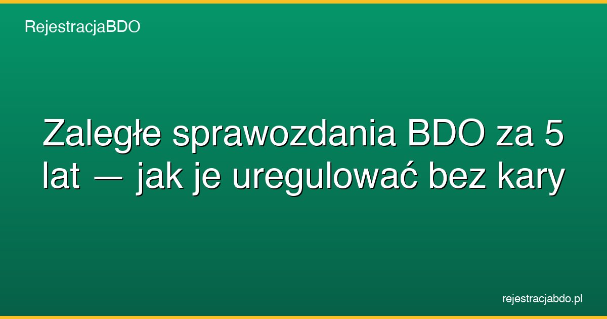 zalegle sprawozdania bdo 5 lat jak uregulowac featured