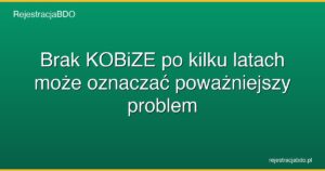 zaleglosci kobize konsekwencje kara featured